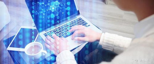 网络工程 冷门专业的现实挑战与性别迷思